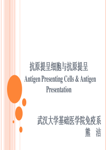 抗原提呈细胞与抗原提呈