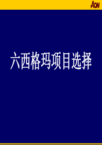 六西格玛项目选择思路—美国怡安