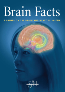 Brain Facts 2008 (认识大脑)