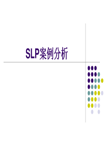SLP案例分析