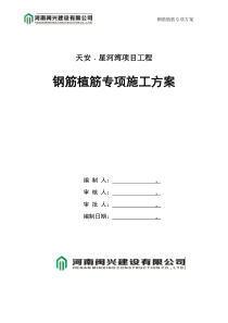 钢筋植筋专项施工方案