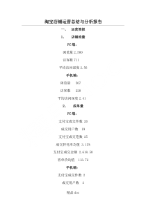 淘宝店铺运营总结与分析分析报告