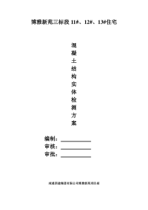 混凝土结构实体检测(方案)博雅