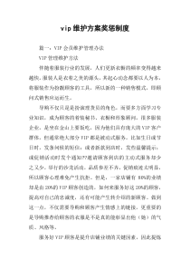 vip维护方案奖惩制度