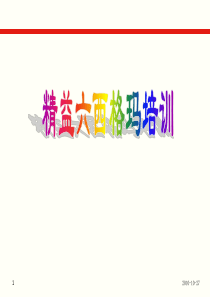 精益六西格玛理论篇