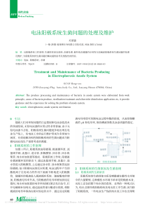 电泳阳极系统生菌问题的处理及维护