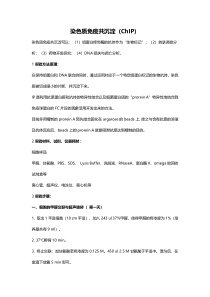 染色质免疫共沉淀(ChIP)实验