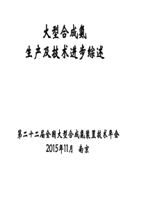 孙宝慈201511合成氨年会(发言)