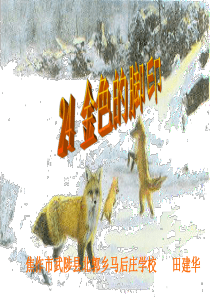 田建华的课件《金色的脚印》