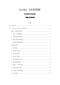 38RevMan5实例图解