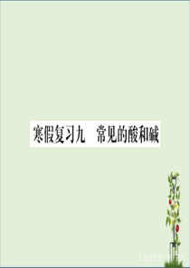 人教版九年级化学下册9.寒假复习九--常见的酸和碱-习题课件