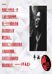 我的第一本书 课件