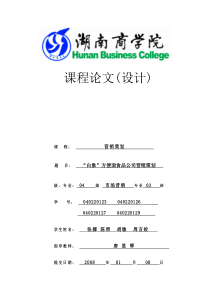 白象方便面 食品公司营销策划
