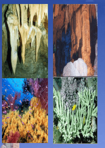 化学：3.3《沉淀溶解平衡》课件(2)(鲁科版选修4)