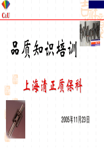 2005年项目组质量管理讲座-质量管理