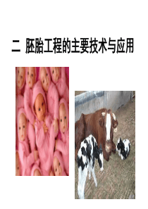 3.1 胚胎工程的主要技术与应用