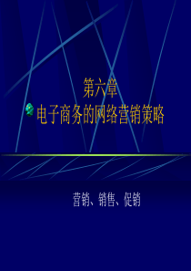 电子商务的网络营销策略