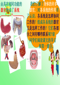 教科版四年级科学上册第四单元第七课相互协作的人体器官(含课堂作业)课件