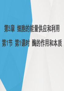 94酶的作用和本质