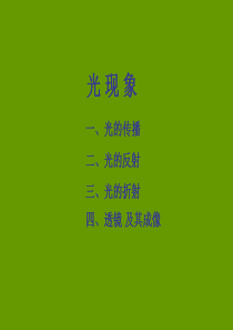 新人教版 八年级上册物理光学总复习  教师用书版 免费下载