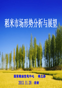 2013年稻米市场分析与展望