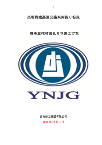干、湿作业旋挖桩专项方案