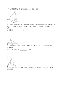 八年级数学竞赛培训：勾股定理