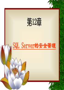第12章 SQL Server的安全管理