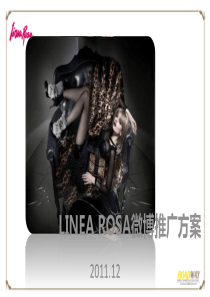 LINEA-ROSA网络EPR方案――合创奇迹