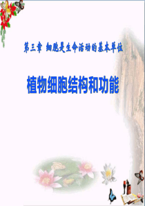 植物细胞结构和功能-PPT