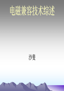 电磁兼容技术综述(沙斐)