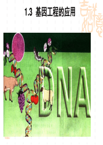 1.3基因工程的应用(14班)