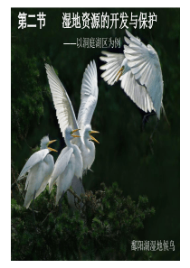 第二节_湿地资源的开发与保护ppt