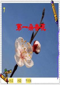 第一朵杏花教学课件