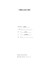 计算机认知-网络管理实验报告-