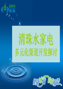 清珠水家电多元化渠道开发探讨