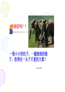 《养成良好的行为习惯》主题班会ppt课件