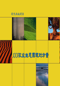 农业生态园规划方案