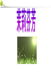 八年级音乐上册 茉莉花课件
