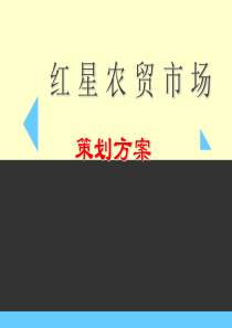 99农贸市场策划方案