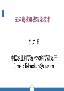玉米密植机械粒收技术 李少昆
