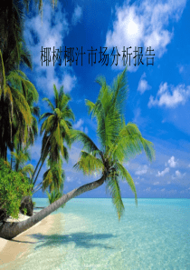 椰树市场调查报告