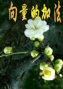 《平面向量的线性运算》--《向量加法运算及其几何意义》--修改版解析