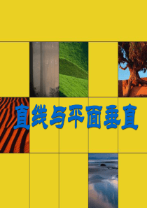 直线与平面垂直的判定1
