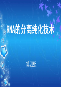 RNA的分离纯化技术解析