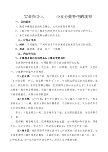 实训指导四----小麦分蘖特性的观察