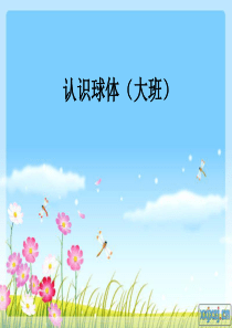 认识球体(大班)