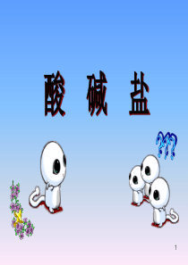 初中中学化学酸碱盐课件