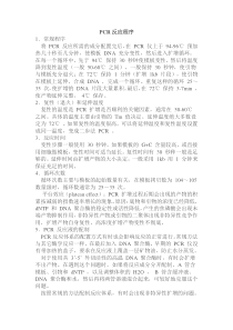 PCR反应程序