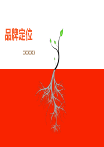 品牌定位